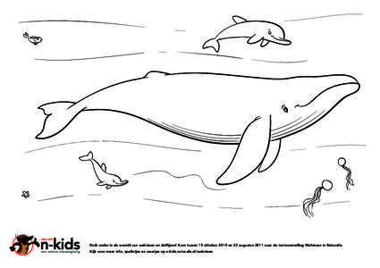 Duik onder in de wereld van walvissen en dolfijnen! Kom tussen 15 oktober 2010 en 22 augustus 2011 naar de tentoonstelling Walvissen in Naturalis. Kijk voor meer info, spelletjes en weetjes op n-kids.naturalis.nl/walviss