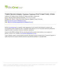 Virginia Opossum (Didelphis Virginiana Virginiana) from Yavapai County, Arizona Author(s): R. Nathan Gwinn, Geoffrey H. Palmer and John L. Koprowski Source: Western North American Naturalist, 71(1):[removed].