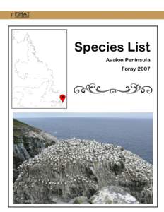 Species List Avalon Peninsula Foray 2007 Species List, Avalon, 2007 Aleurodiscus amorphus
