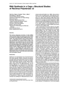 Cell, Vol. 111, 733–745, November 27, 2002, Copyright 2002 by Cell Press  RNA Synthesis in a Cage—Structural Studies of Reovirus Polymerase ␭3 Yizhi Tao,1 Diane L. Farsetta,2,5 Max L. Nibert,3 and Stephen C. Har