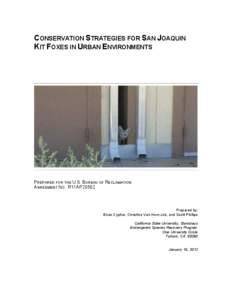 Conservation strategies for San Joaquin kit foxes in urban environments