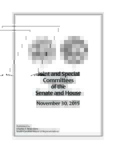 Joint and Special Committees of the Senate and House November 30, 2015