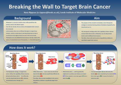 Breaking the Wall to Target Brain Cancer Nora Rippaus (), Leeds Institute of Molecular Medicine Background  Aim