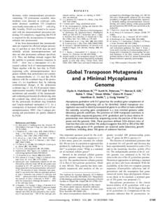 REPORTS thermore, while immunosubunit precursorscontaining 15S proteasome assembly intermediates were detected in wild-type cells, under identical conditions 15S complexes were hardly detectable in PA28⫺/⫺ cells (Fig