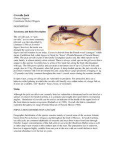 Carangidae / Shoaling and schooling / Game fish / Pacific crevalle jack / Longfin crevalle jack / Caranx / Fish / Crevalle jack