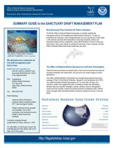 SUMMARY GUIDE to the SANCTUARY DRAFT MANAGEMENT PLAN New Sanctuary Plan Available for Public Comment The NOAA Office of National Marine Sanctuaries is currently updating the management plan for the Fagatele Bay National 