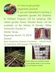 It’s time to get garden vegetables planted! If you are interested in starting a vegetable garden the Diabetes & Wellness Program will be assigning (20) raised garden boxes. Garden Boxes will be