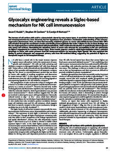 Glycocalyx Siglec NatCB Figs