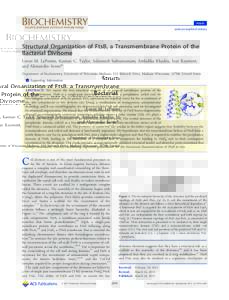 Article pubs.acs.org/biochemistry Structural Organization of FtsB, a Transmembrane Protein of the Bacterial Divisome Loren M. LaPointe, Keenan C. Taylor, Sabareesh Subramaniam, Ambalika Khadria, Ivan Rayment,