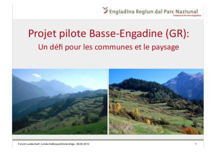 Projet	
  pilote	
  Basse-­‐Engadine	
  (GR):	
   Un	
  déﬁ	
  pour	
  les	
  communes	
  et	
  le	
  paysage Forum Landschaft: Landschaftsqualitätsbeiträge, 