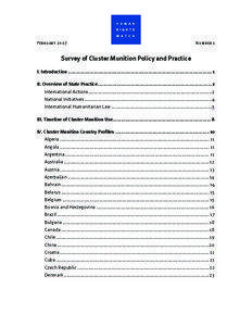 Cluster bombs / International law / International relations / Cluster munition / Submunitions / Explosive remnants of war / Land mine / Convention on Certain Conventional Weapons / Dual-Purpose Improved Conventional Munition / Laws of war / Mine warfare / Mine action