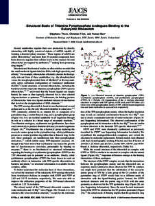 Published on Web[removed]Structural Basis of Thiamine Pyrophosphate Analogues Binding to the Eukaryotic Riboswitch Ste´phane Thore, Christian Frick, and Nenad Ban* Institute of Molecular Biology and Biophysics, ETH 
