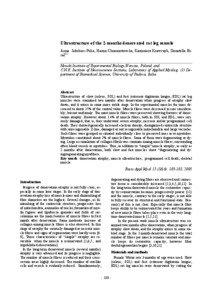 Ultrastructure of the 2-months denervated rat leg muscle Anna Jakubiec-Puka, Hanna Chomontowska, Kazimierz Krawczyk, Donatella Biral(1) Nencki Institute of Experimental Biology,Warsaw, Poland, and