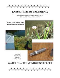 KARUK TRIBE OF CALIFORNIA DEPARTMENT OF NATURAL RESOURCES P.O. Box 282 * Orleans, California[removed]Water Years 2000 & 2001 Klamath River Mainstem