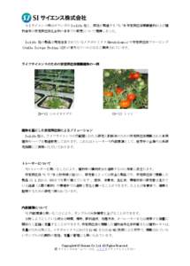 ＳＩサイエンス㈱はオランダの Isolife 社と、同社が製造する 13C,15N 安定同位体標識植物および植 物由来の安定同位体化合物の日本での販売について提携しました。