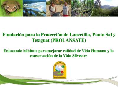 Fundación para la Protección de Lancetilla, Punta Sal y Texiguat (PROLANSATE) Enlazando hábitats para mejorar calidad de Vida Humana y la conservación de la Vida Silvestre  Parque Nacional