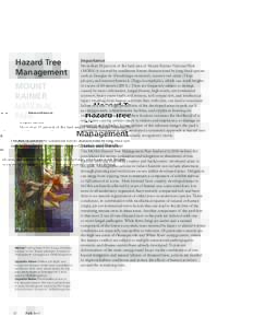 Hazard Tree Management MOUNT RAINIER NATIONAL PARK
