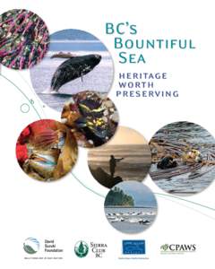 BC’s Bountiful Sea heritage worth pres ervin g