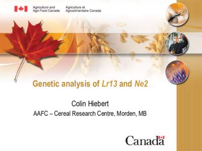 Genetic analysis of Lr13 and Ne2 Colin Hiebert AAFC – Cereal Research Centre, Morden, MB Collaborators AAFC, CRC-Morden