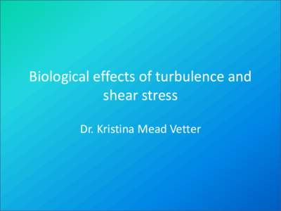 Biological effects of turbulence and shear stress