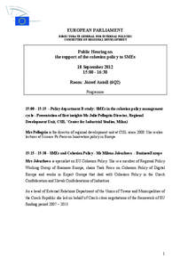 EUROPEAN PARLIAMENT DIRECTORATE GENERAL FOR INTERNAL POLICIES COMMITTEE ON REGIONAL DEVELOPMENT Public Hearing on the support of the cohesion policy to SMEs