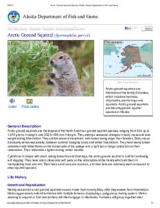 [removed]Arctic Ground Squirrel Species Profile, Alaska Department of Fish and Game Alaska Department of Fish and Game ADF&G Home » Species » Animals » Arctic Ground Squirrel