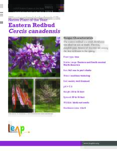 LEAP Native Plants of the Year[removed]Native Plant of the Year: