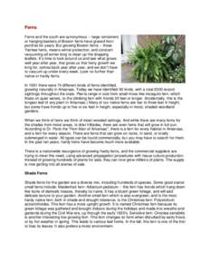 Flora of Ohio / Fern / Epiphytes / Onoclea sensibilis / Osmundastrum cinnamomeum / Bracken / Polystichum acrostichoides / Nephrolepis exaltata / Cyatheales / Flora of the United States / Flora / Botany