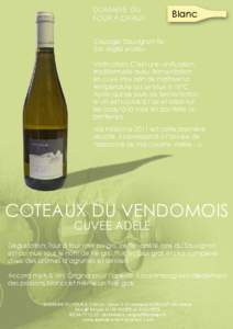 COTEAUX DU VENDOMOIS - cuvée Adèle