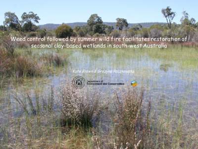 Weed control followed by summer wild fire facilitates restoration of seasonal clay-based wetlands in south-west Australia Kate Brown & Grazyna Paczkowska  On the Southern Swan Coastal