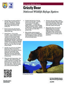 U.S. Fish & Wildlife Service  Grizzly Bear National Wildlife Refuge System  •	 Grizzly bears are great symbols of