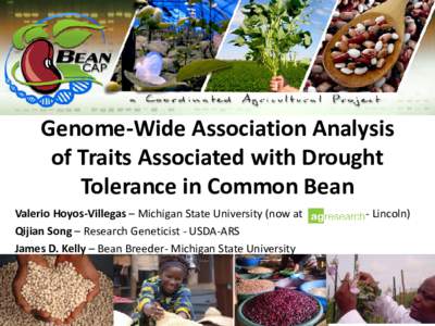 Genome-Wide Association Analysis of Traits Associated with Drought Tolerance in Common Bean Valerio Hoyos-Villegas – Michigan State University (now at Qijian Song – Research Geneticist - USDA-ARS James D. Kelly – B