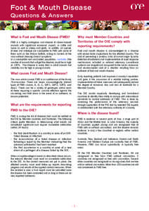 Foot & Mouth Disease Questions & Answers What is Foot and Mouth Disease (FMD)?  Why must Member Countries and
