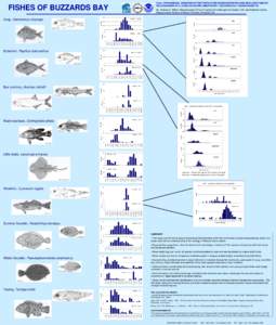 From: INTRAANNUAL VARIATION IN FISH POPULATION CHARACTERISTICS AND SEAFLOOR HABITAT RELATIONSHIPS IN A LARGE ESTUARINE EMBAYMENT: BUZZARDS BAY, MASSACHUSETTS FISHES OF BUZZARDS BAY  By Anthony R. Wilbur, Massachusetts Of