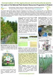 BIOTECHNOLOGY IN IMPROVING OAT b-GLUCAN CONTENT