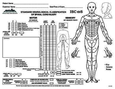 Neurotrauma / Spinal cord / Spinal cord injury / Traumatology / Neurology / Myotome / Muscle / Anal wink / Anatomy / Medicine / Biology