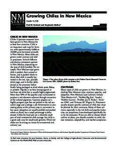 Growing Chiles in New Mexico Guide H-230 Paul W. Bosland and Stephanie Walker1 Cooperative Extension Service • College of Agricultural, Consumer and Environmental Sciences
