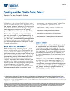 FOR289  Sorting out the Florida Sabal Palms1
