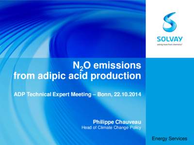 N2O emissions from adipic acid production ADP Technical Expert Meeting – Bonn, [removed]Philippe Chauveau Head of Climate Change Policy