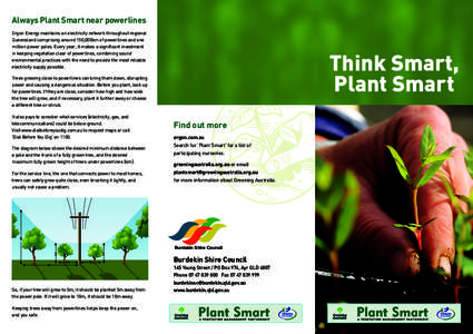 Always Plant Smart near powerlines Ergon Energy maintains an electricity network throughout regional Queensland comprising around 150,000km of powerlines and one million power poles. Every year, it makes a signiﬁcant i