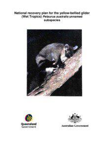 Petaurus / Possum / Eucalyptus / Queensland tropical rain forests / Wet Tropics of Queensland / Corymbia intermedia / Squirrel Glider / Gliding possums / Mammals of Australia / Yellow-bellied Glider