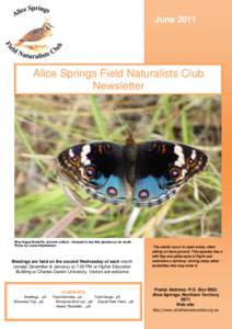 Alice Springs Field Naturalist Club Newsletter