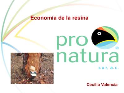 Economía de la resina  Cecilia Valencia Economía-Ecología