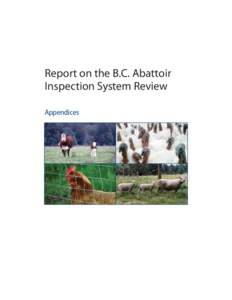 Report on the B.C. Abattoir Inspection System Review: Appendices