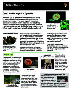 Aquatic Invaders  Pictured Rocks National Lakeshore National Park Service U.S. Department of the Interior