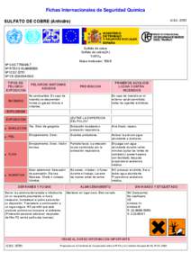 Nº CAS[removed]International Chemical Safety Cards (WHO/IPCS/ILO)