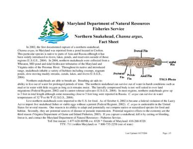 In 2002, the first documented capture of a northern snakehead, Channa argus, in Maryland was reported from a pond located in Crofton. This particular species is native to parts of Asia and Russia although it has been wid