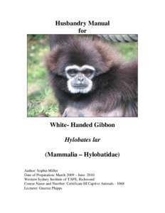 Southeast Asia / Sumatran lar gibbon / Yunnan lar gibbon / Hylobates / Nomascus / LAR / Northern white-cheeked gibbon / Ape / Jersey Zoological Park / Gibbons / Fauna of Asia / Lar gibbon