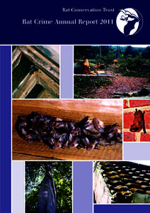 Bat Crime Annual Report 2011  Bat Crime Annual Report 2011 The UK bat crime wildlife crime priority, set by the UK statutory nature conservation organisations (SNCOs) and the police’s National Wildlife Crime Unit (NWC