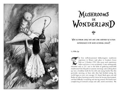 Mushroom s in WonderlanD A